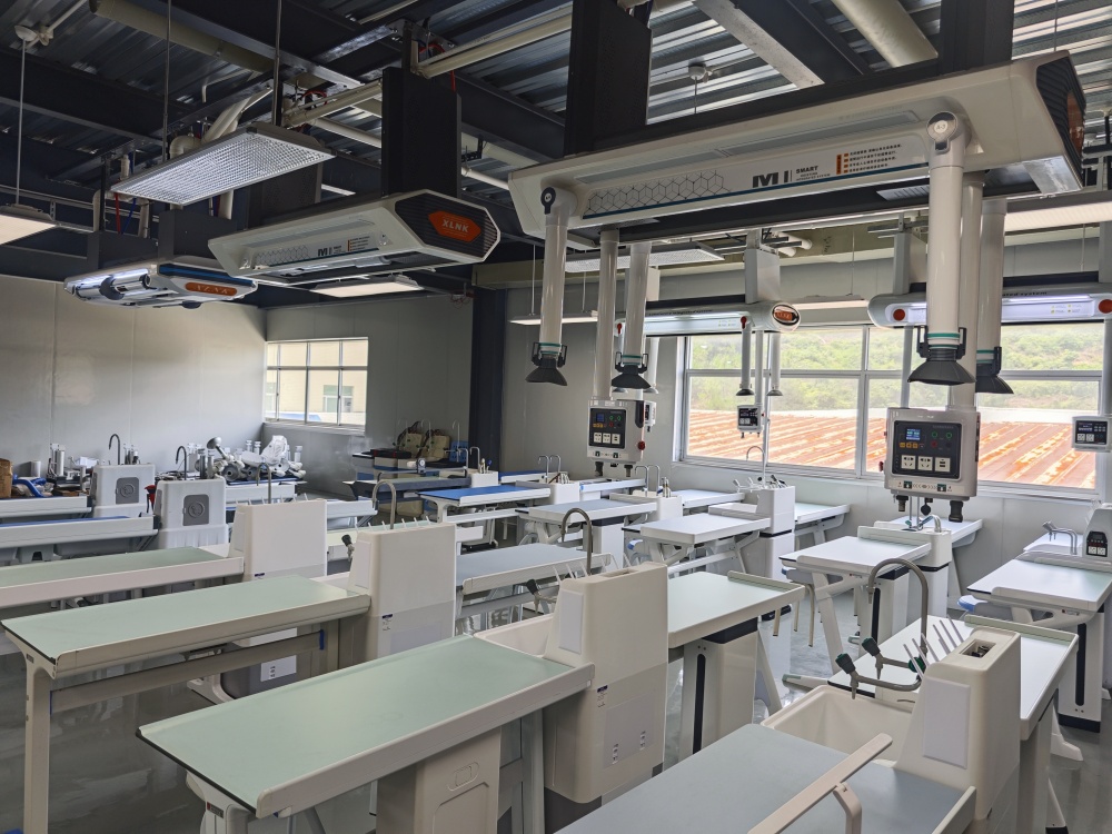 專業(yè)定制，品質(zhì)保證：量身打造最適合您的理化生智能吊裝實(shí)驗(yàn)室