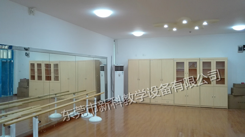 <a href='http://m.wj8vip.cn/chanpin/59-1.html' target='1' style='font-size:18px; font-weight:bold; color:#000000;'>舞蹈室</a>