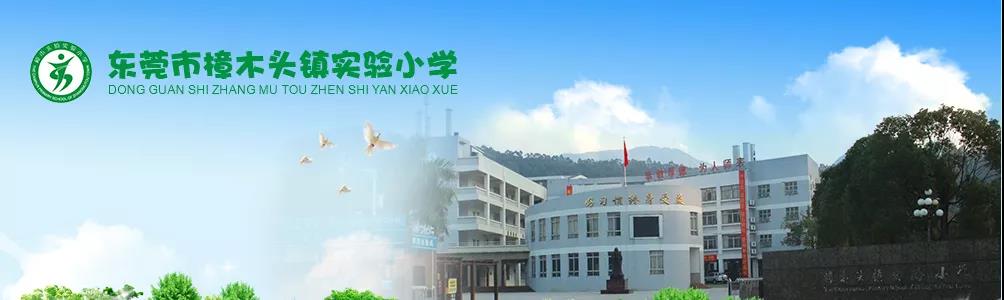 實驗小學(xué)大門